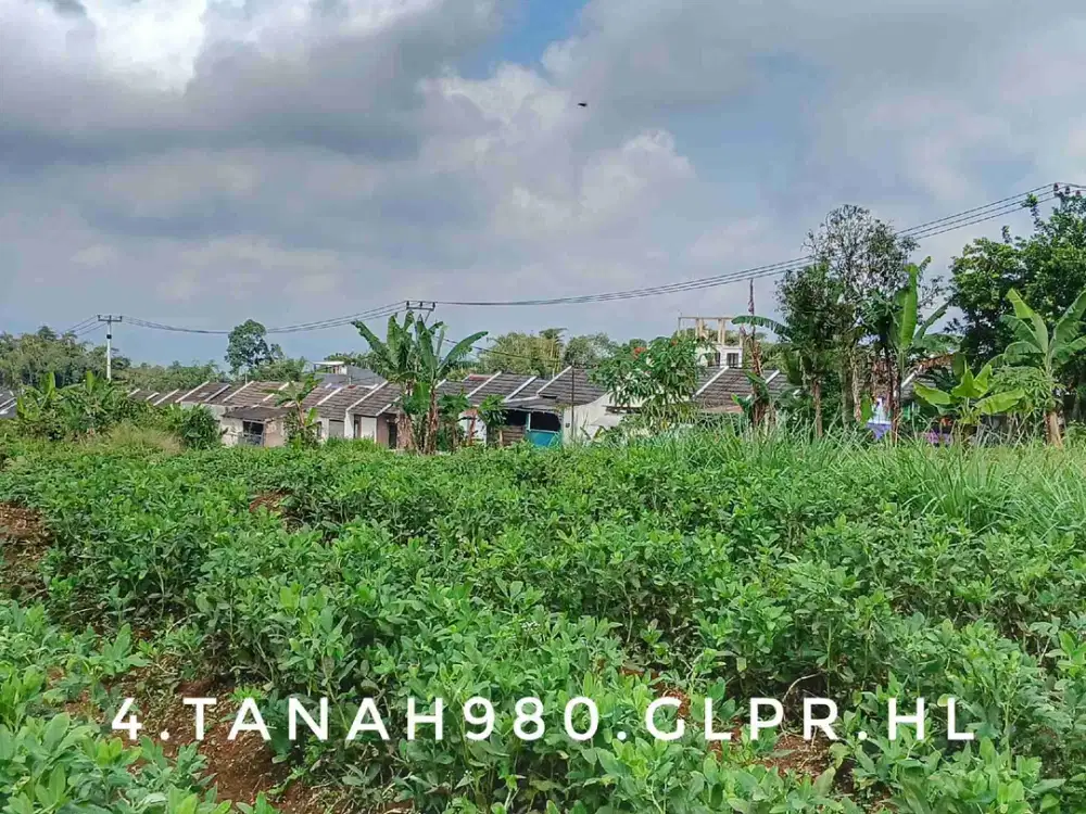 Dijual sebidang tanah kebun subur nempel perumahan dekat kota dan jalan utama