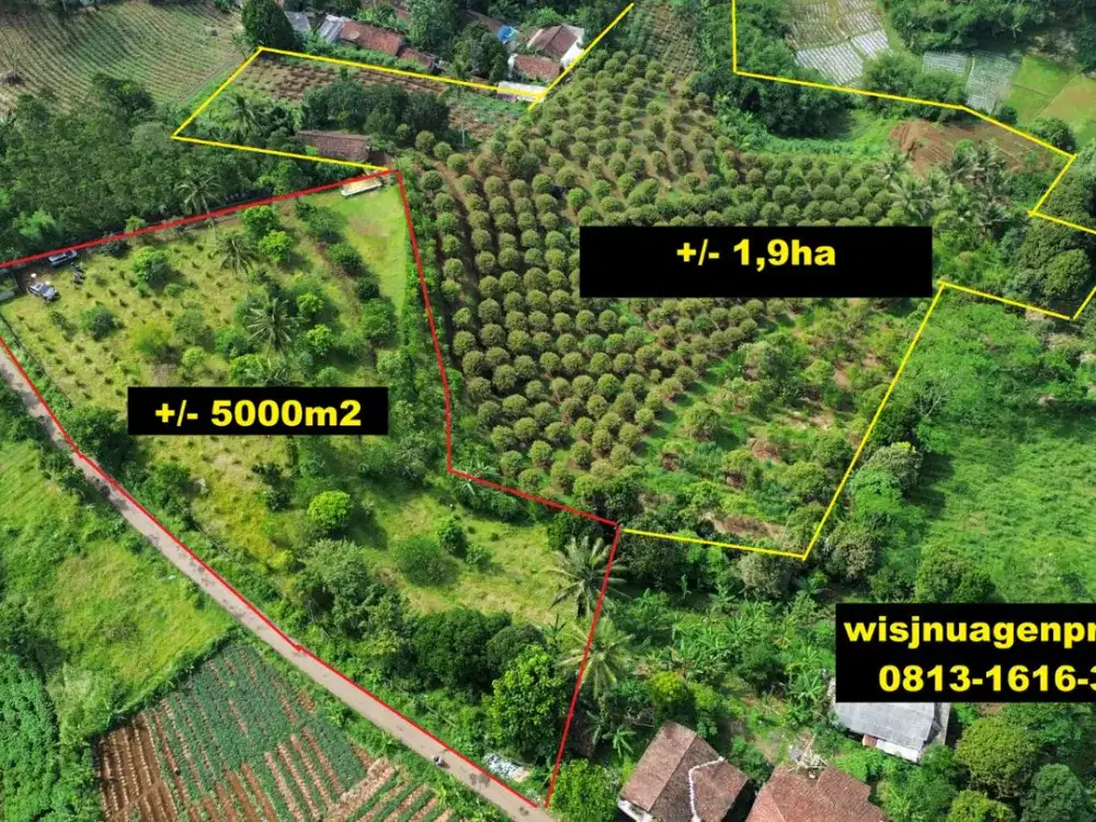 Tanah Kebun View Gunung Salak di Bojong Genteng Sukabumi