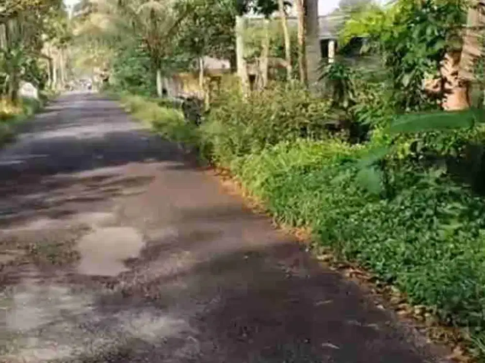 Dijual tanahpinggir jalan tempel turi murah 375jt saja luas 130m  prospektif hunian dan usaha view sawah asri