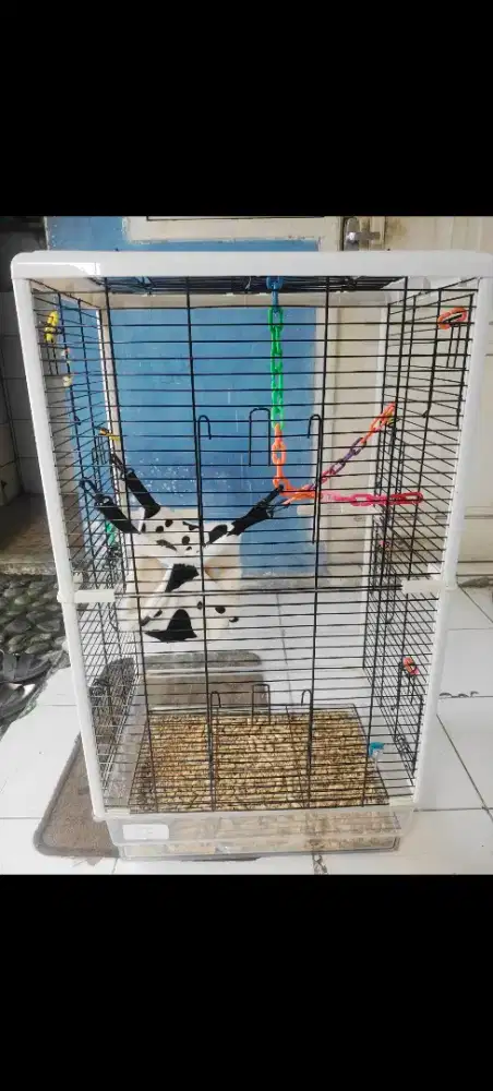 KANDANG AKRILIK SERBA GUNA