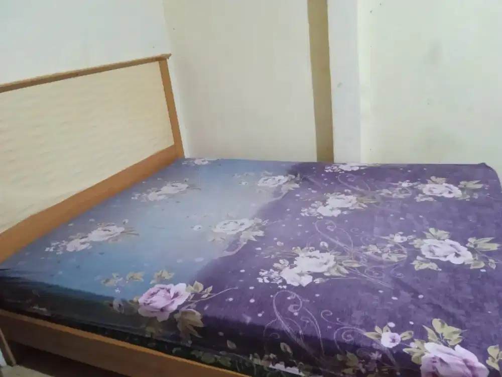 informa kasur dan springbed