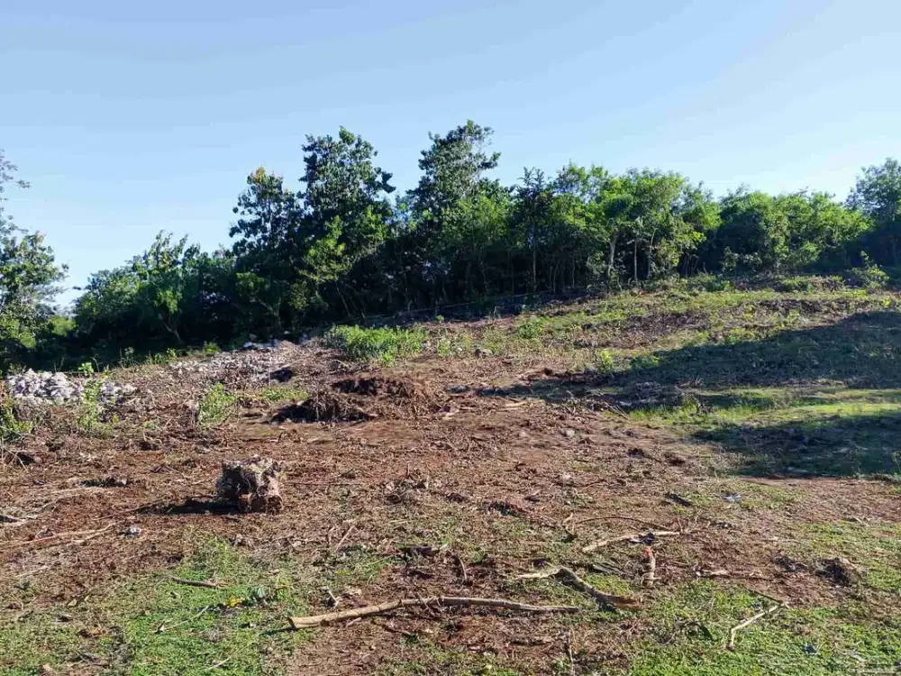 dijual tanah kavling murah di nusadua bali