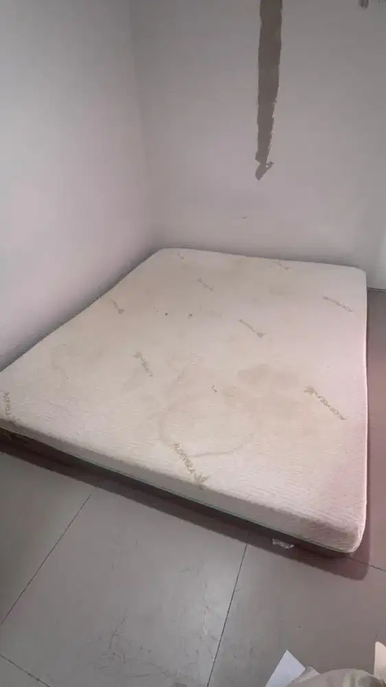 KASUR ALOE VERA INFORMA