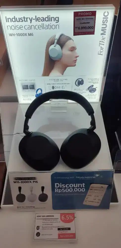 SONY WH-1000XM6