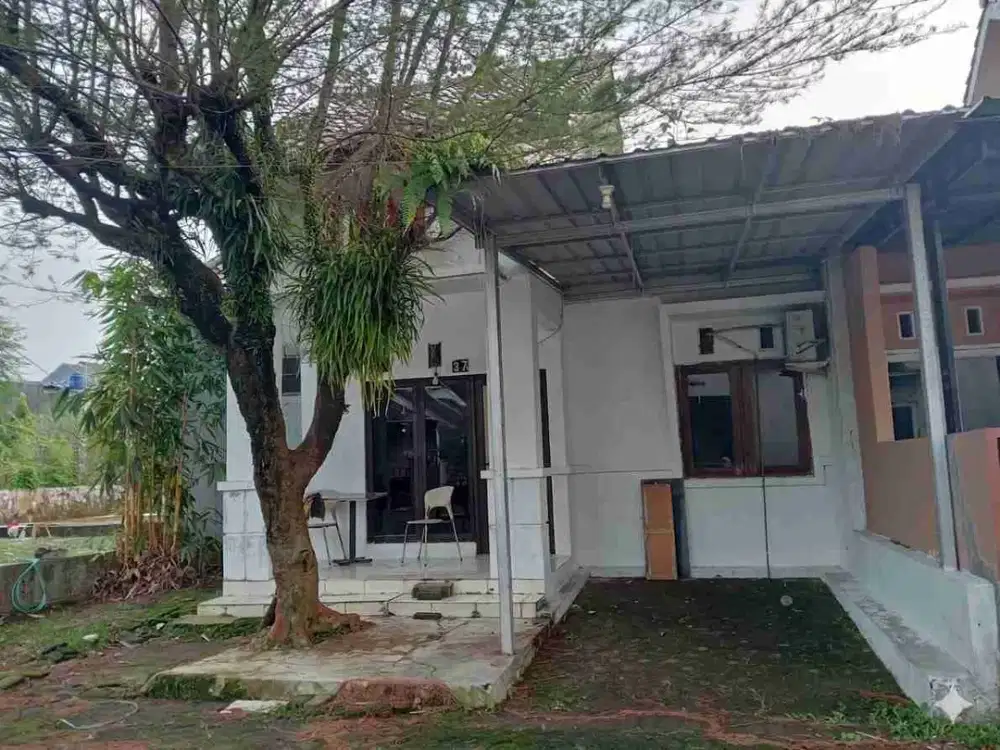 DISEWAKAN RUMAH DEKAT UNDIP SEMARANG