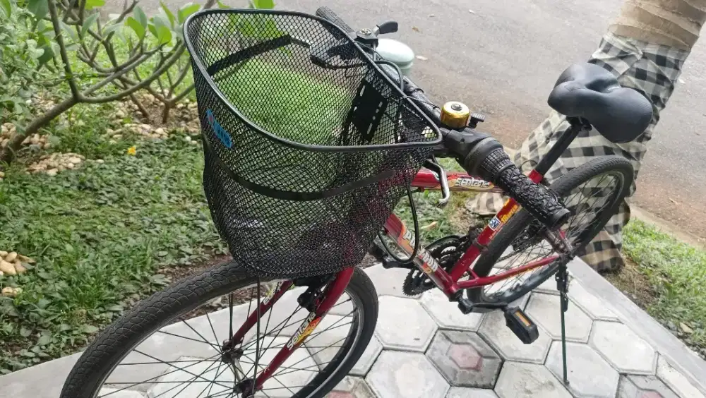 Sepeda Polygon MTB Sentana uk 24
