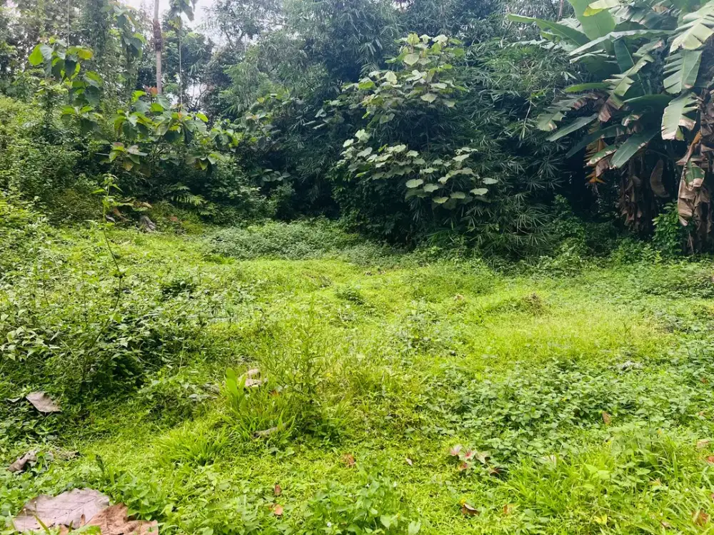 Tanah 1723m² Cocok Untuk Kebun Karanganyar