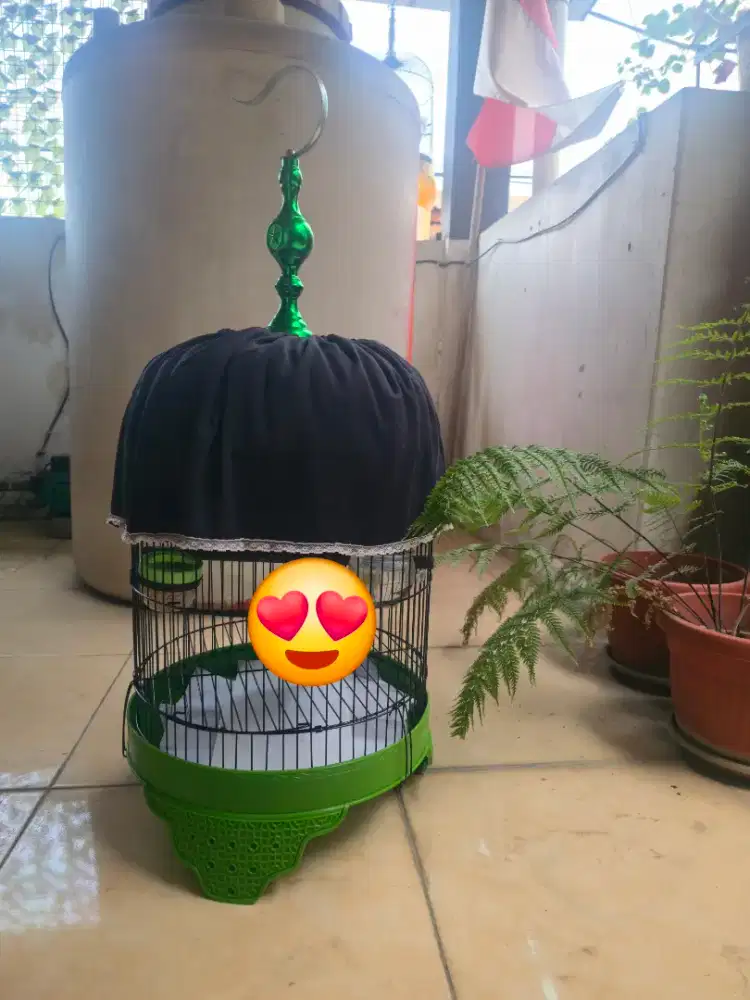 Kandang sangkar lb pendek