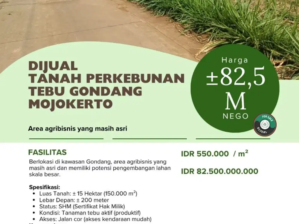 DIJUAL  TANAH 15 HA  PERKEBUNAN TEBU GONDANG MOJOKERTO