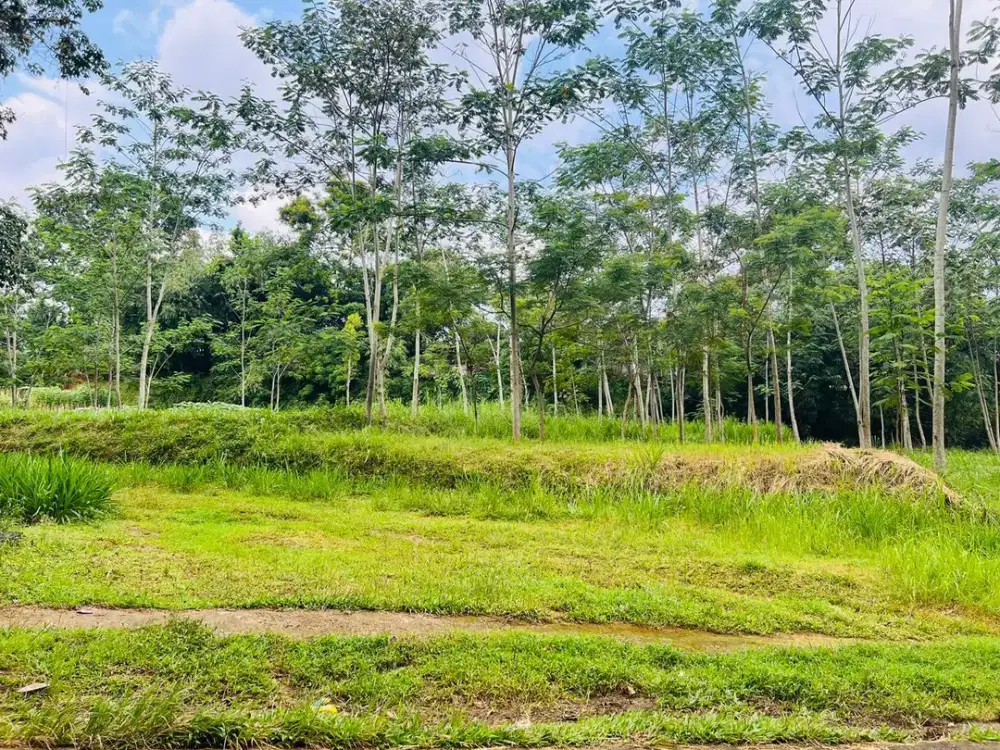Tanah pekarangan 5797m2 Karangpandan, Karanganyar
