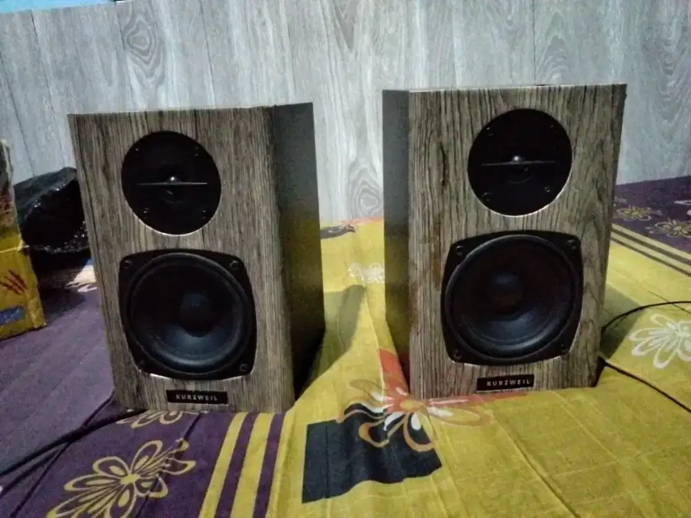 Kurzweil ks40a speaker flat monitor recording