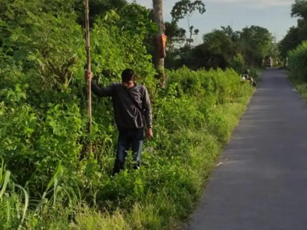 Dijual Tanah 7500 m2 di Mojosongo Boyolali