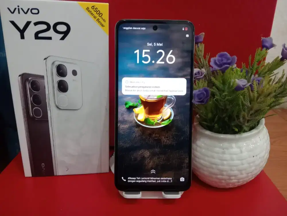 Vivo Y29 8/256 lengkap