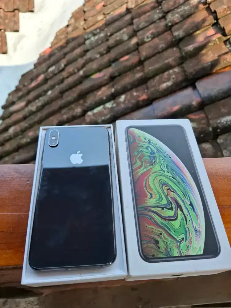 ip xs max 256 gb space gray inter allop