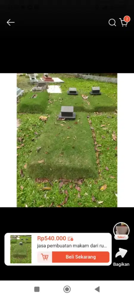 Jasa pasang rumput makam