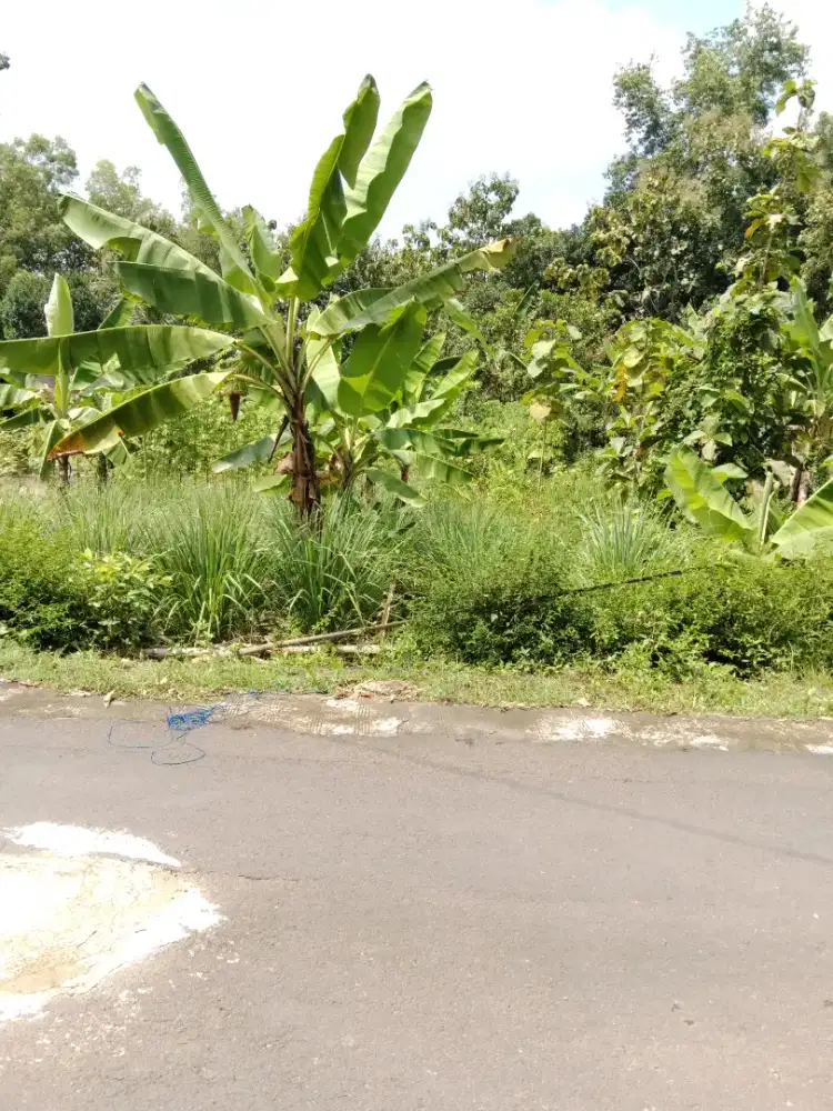 JUAL CPT tanah pekarangan 694m strategis pinggir jln.