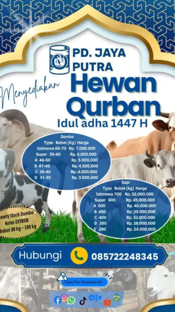 Domba Qurban 2026