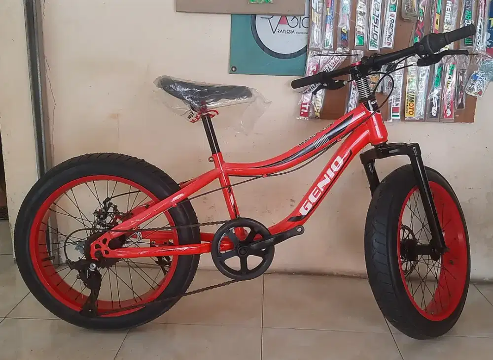 Sepeda Gunung Genio 20 Mantab