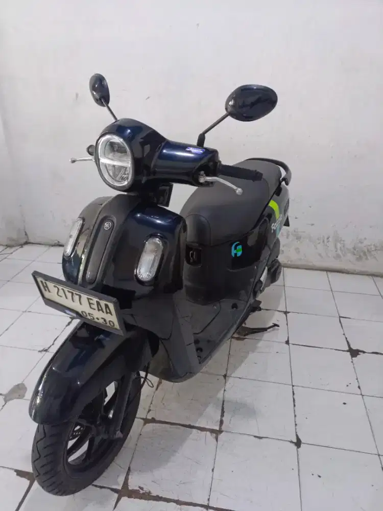 fazzio hitam glossy 2025