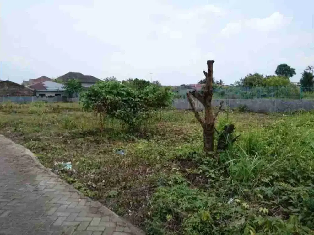 Tanah Strategies Daerah Jl. Sei Padang Cocok Untuk Usaha