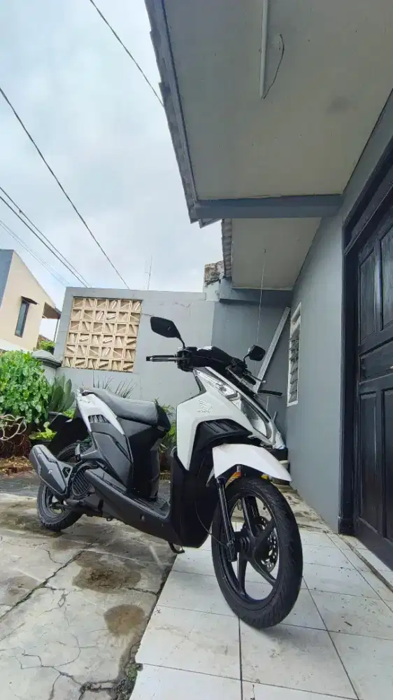 Vario Techno 110 Karbu