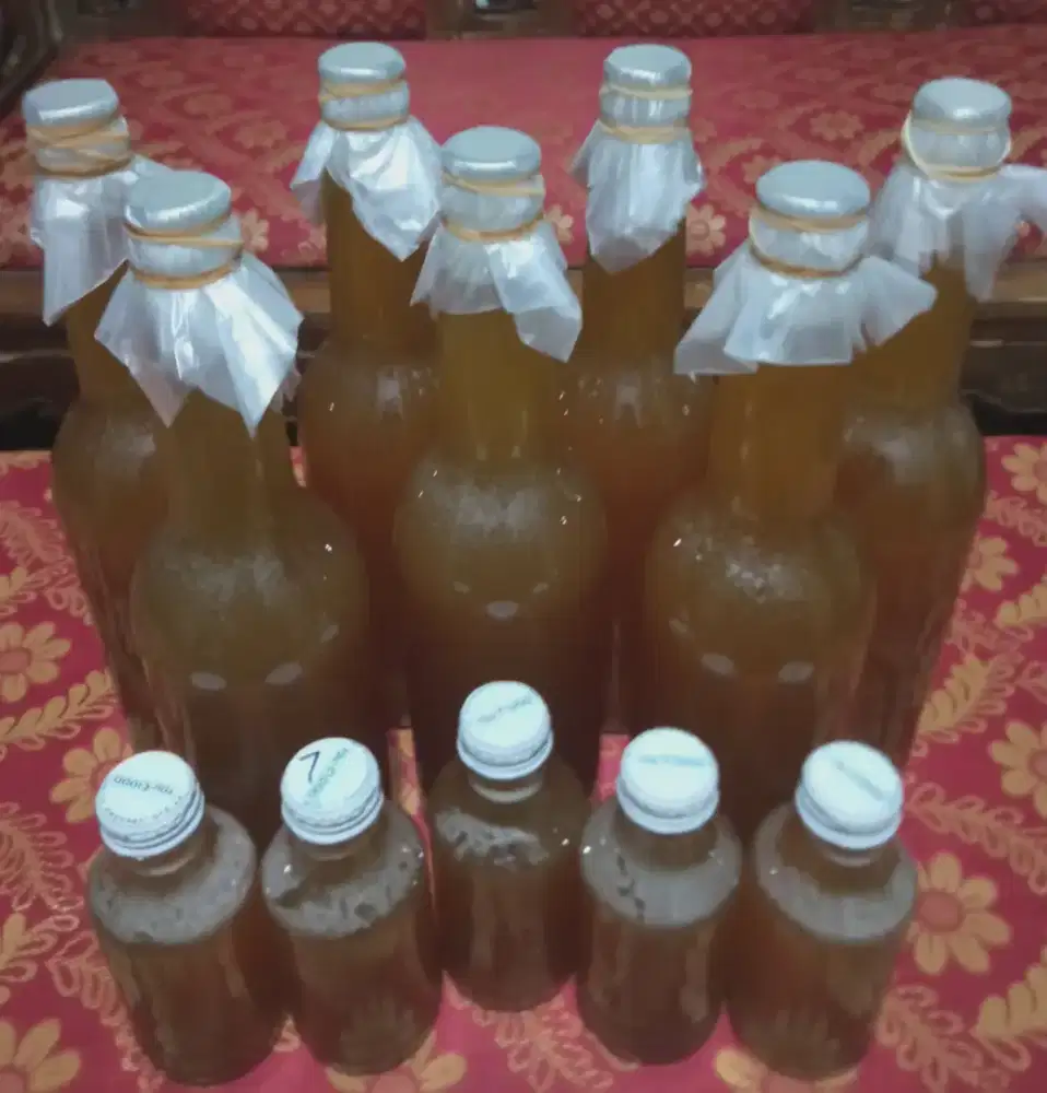 Madu lokal asli