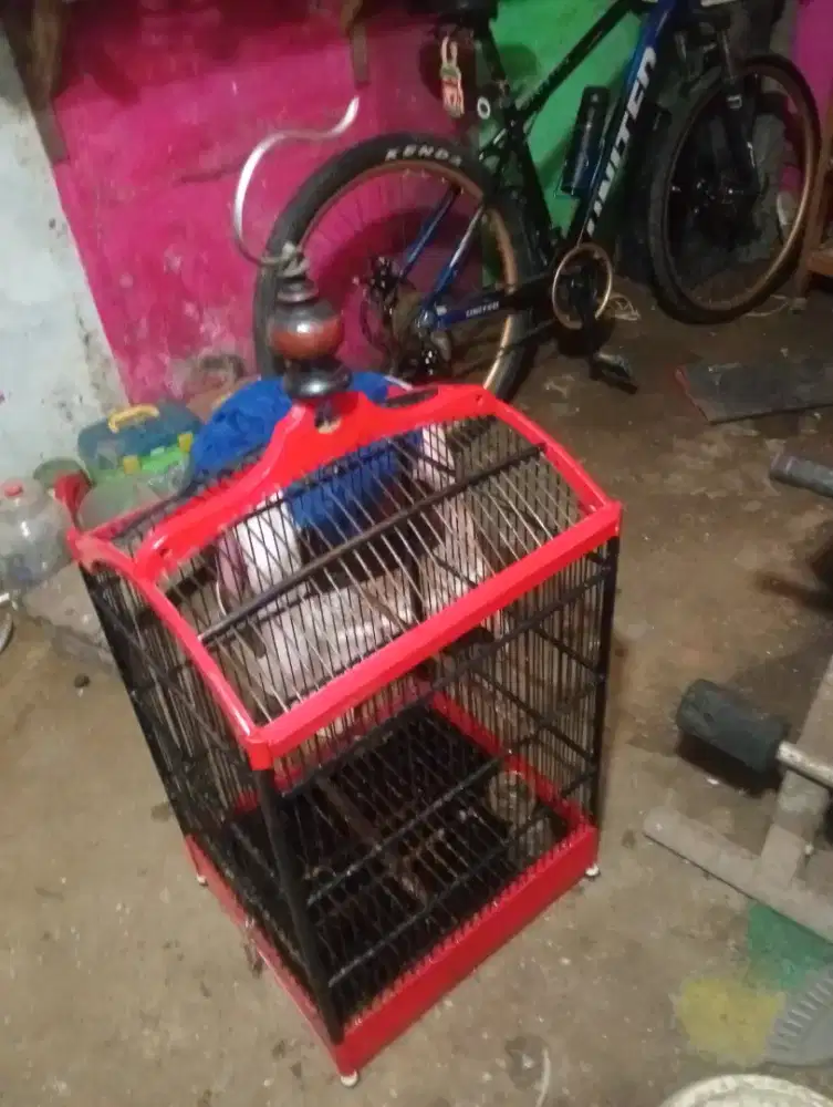 Jual kandang kotak no 2