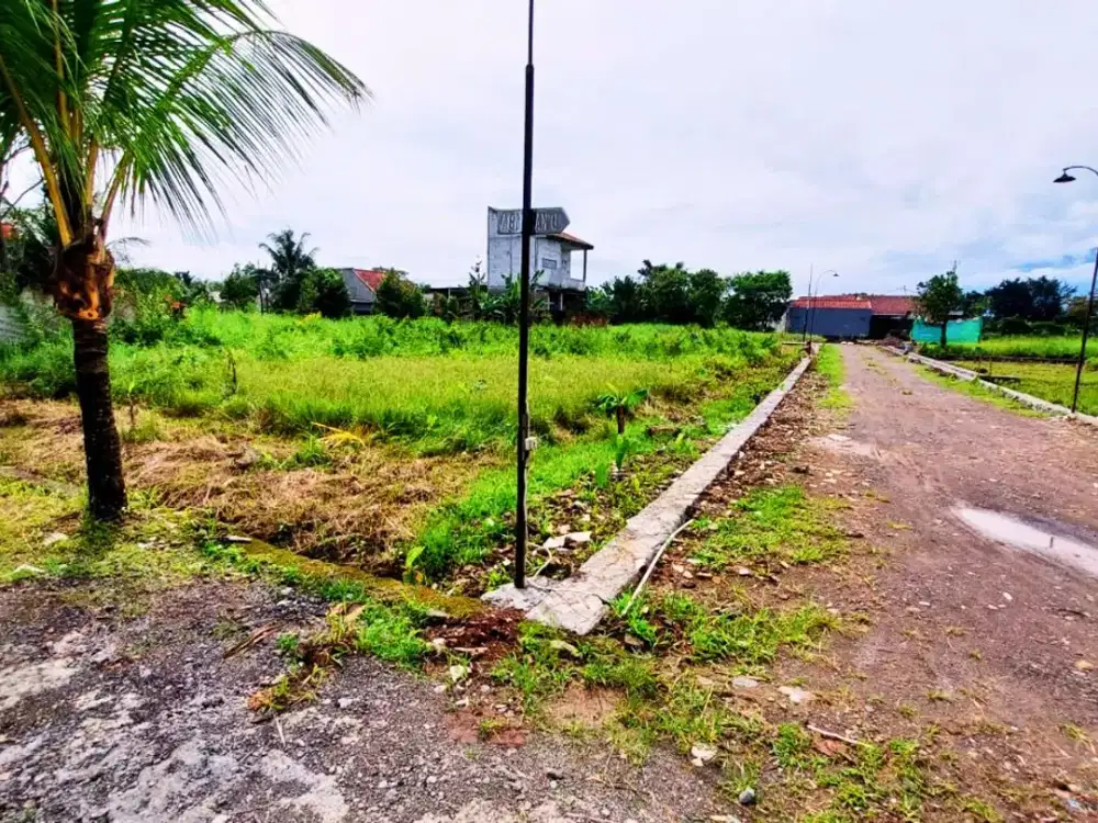 Kavling Tanah 2 Jt-an Dekat Kampus IPB, Pas Bangun Rukost, SHM