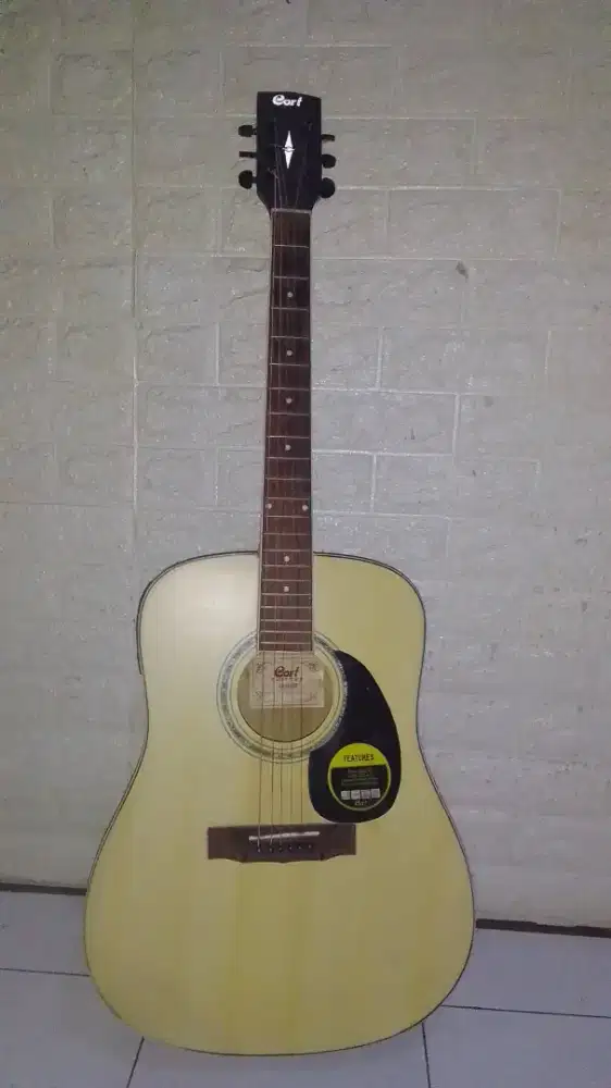 Gitar akustik elecktrik