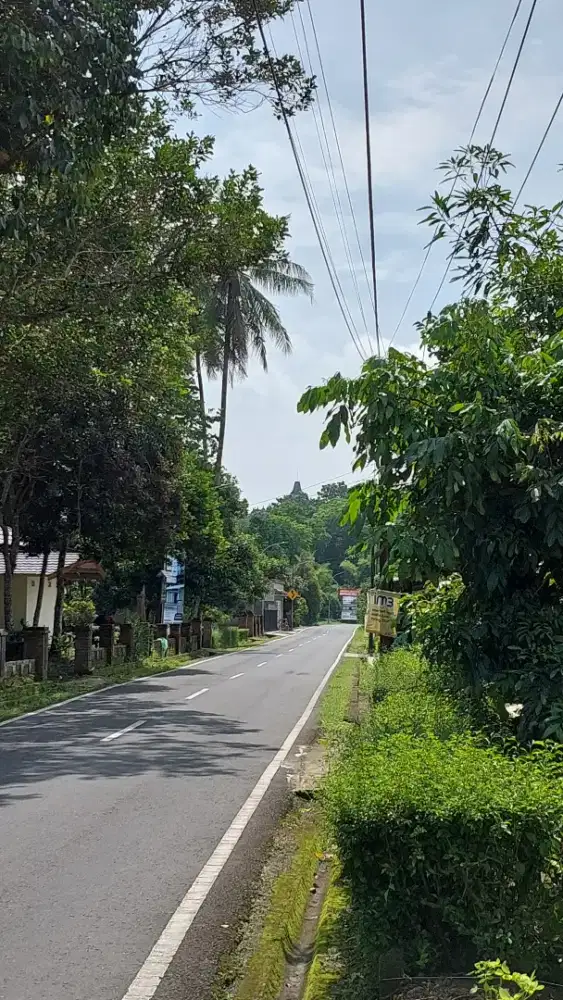Tanah Strategis Sangat Dekat Candi Borobudur