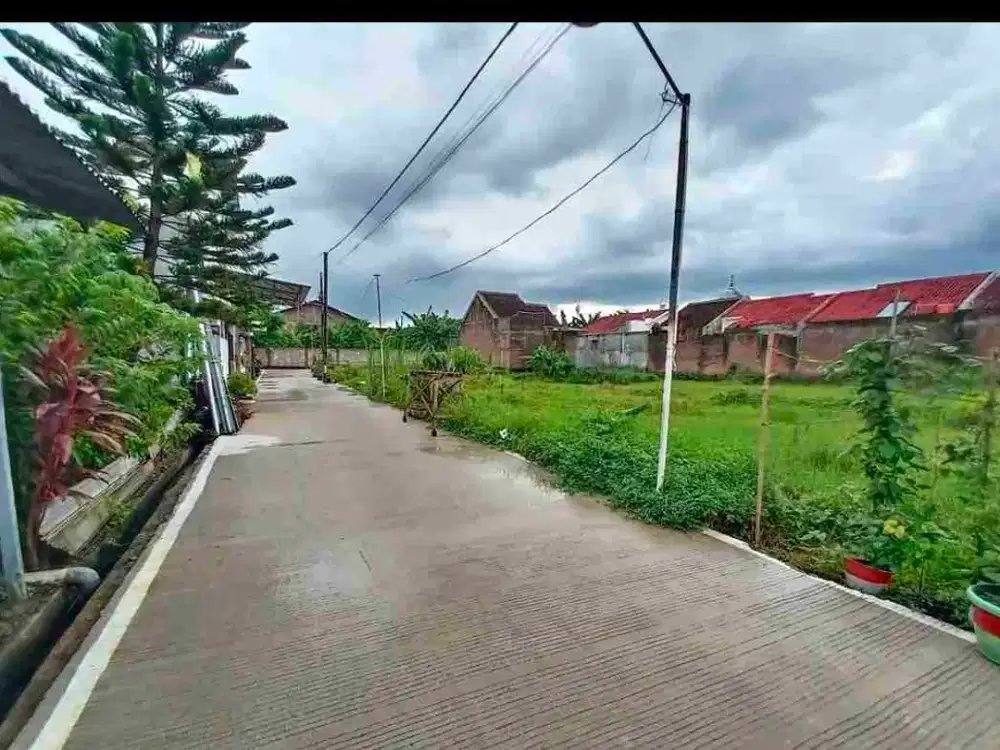 tanah sawahan utara banyuanyar solo