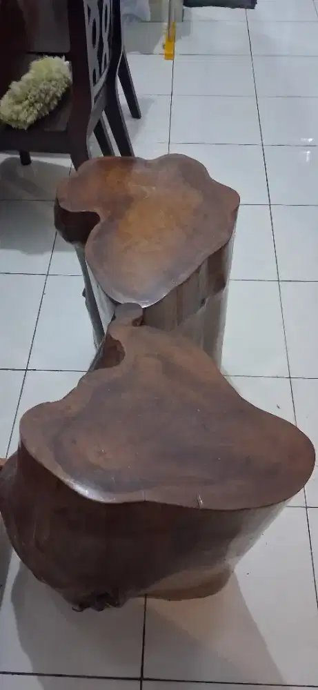 Kayu jati super (2 glondongan)