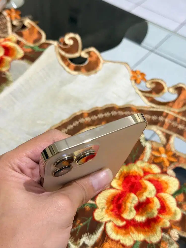 Iphone 13 promax