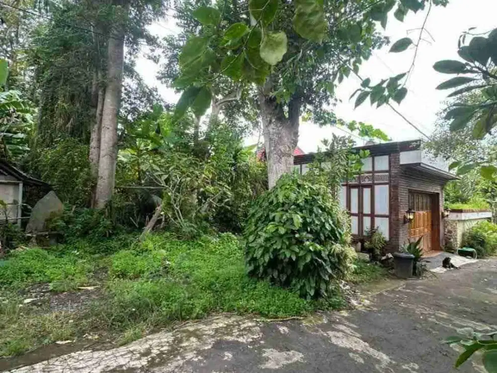 termurah!! jl belimbing sari pecatu tanah 5 are
