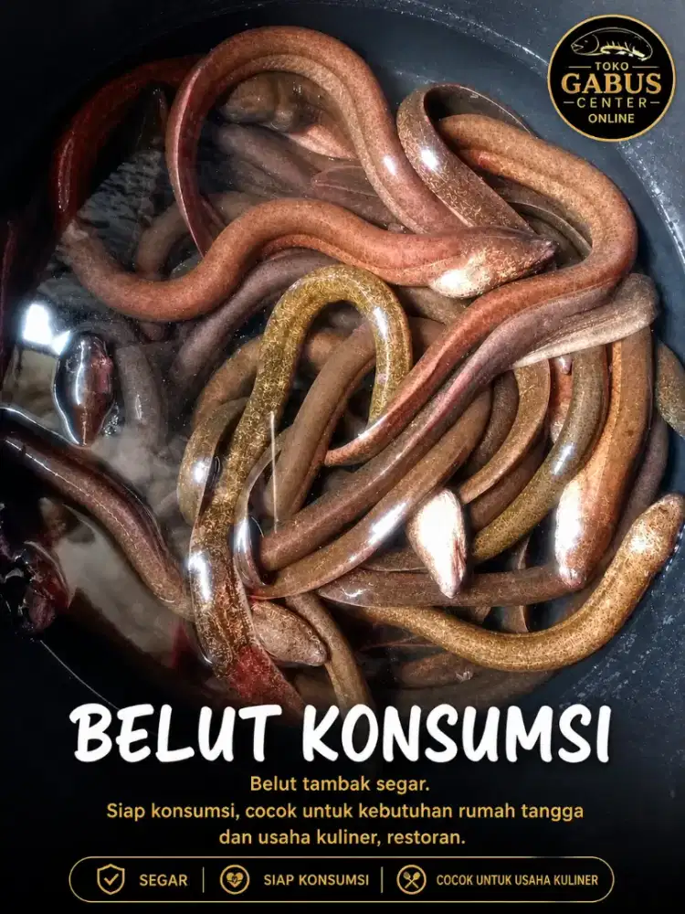 Sedia lindung tambak segar