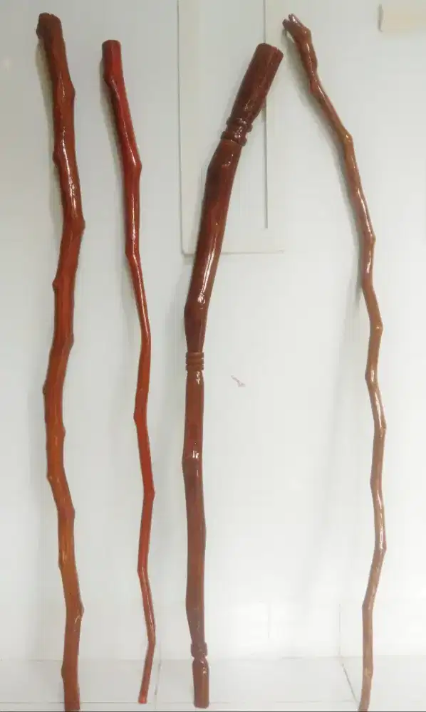 Tongkat kayu Bidara