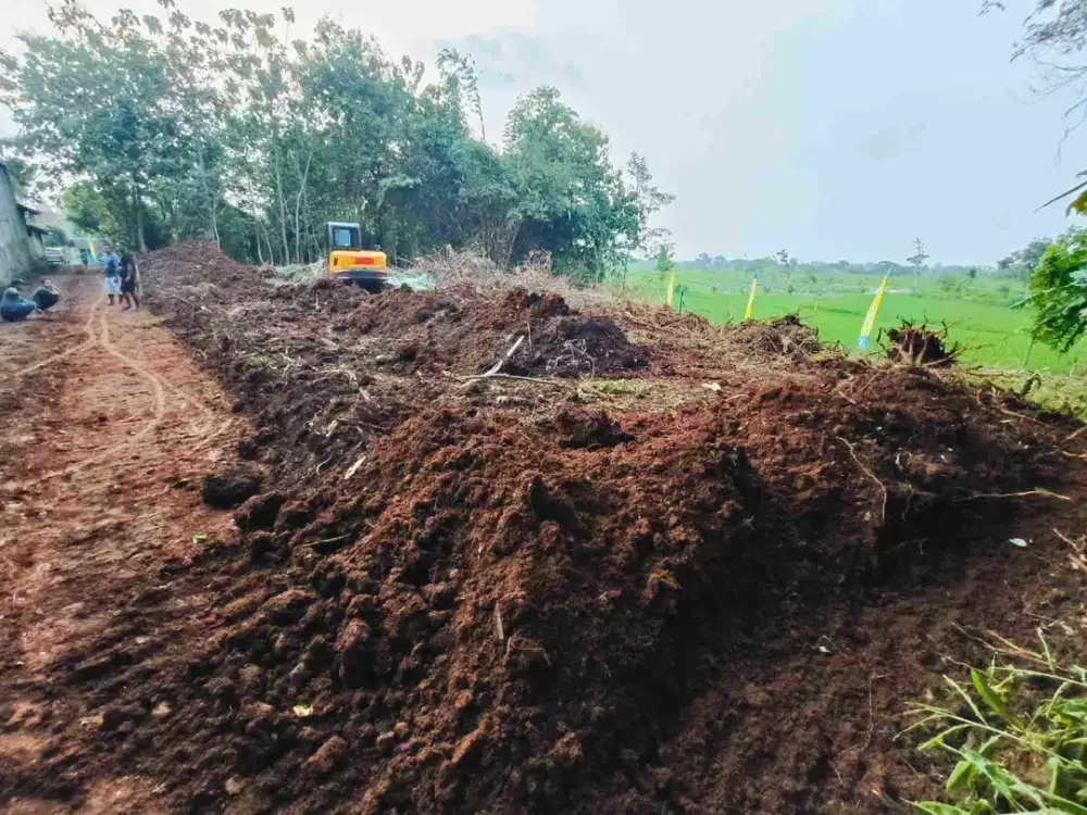 Tanah pekarangan View hamparan sawah Asri sejuk karangpelem sragen