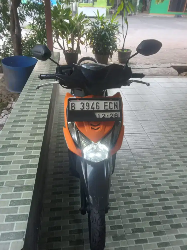 Beat pajek hidup baguss