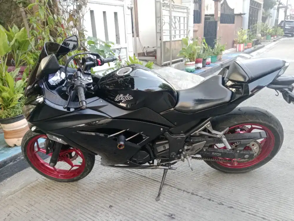 Ninja 250 fi abs
