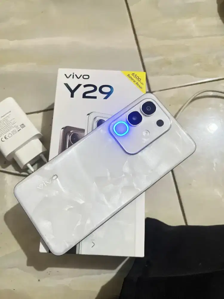 Vivo Y29 8+8/256