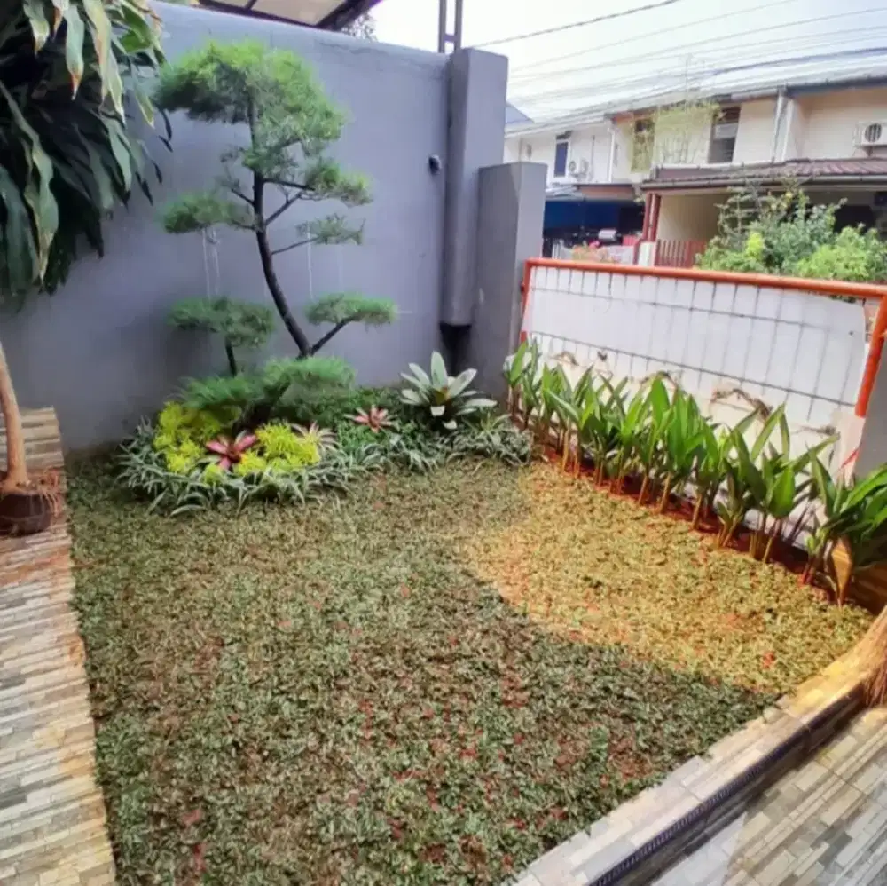 Pembuatan taman hijau minimalis