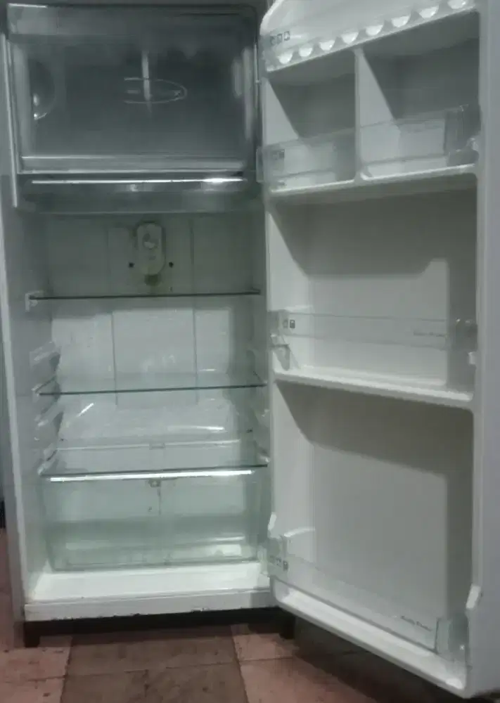 Politron belsa beku cepat ttp friser ada orian