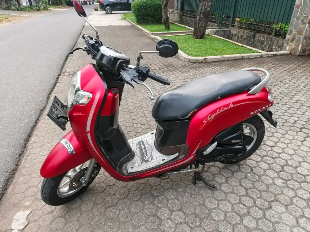 Scoopy tertawat