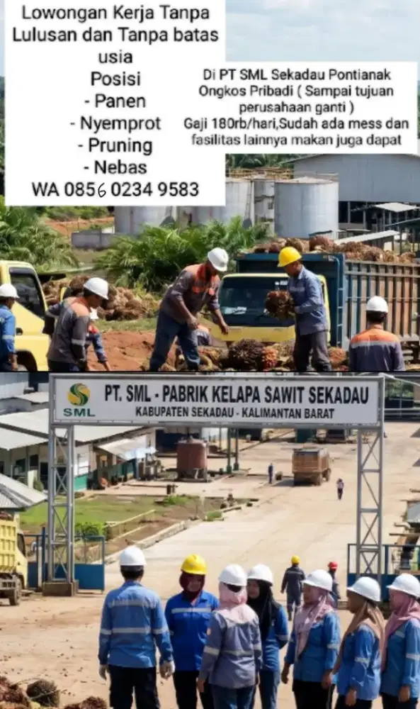 Lowongan Kerja Terbaru 2026 Tanpa Tamatan Dan Pengalaman