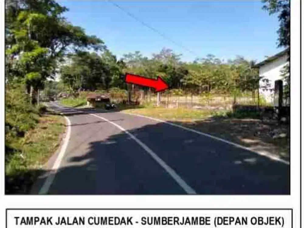 Dijual Via Lelang Tanah Jalan Cumedak Desa Sumberjambe Jember
