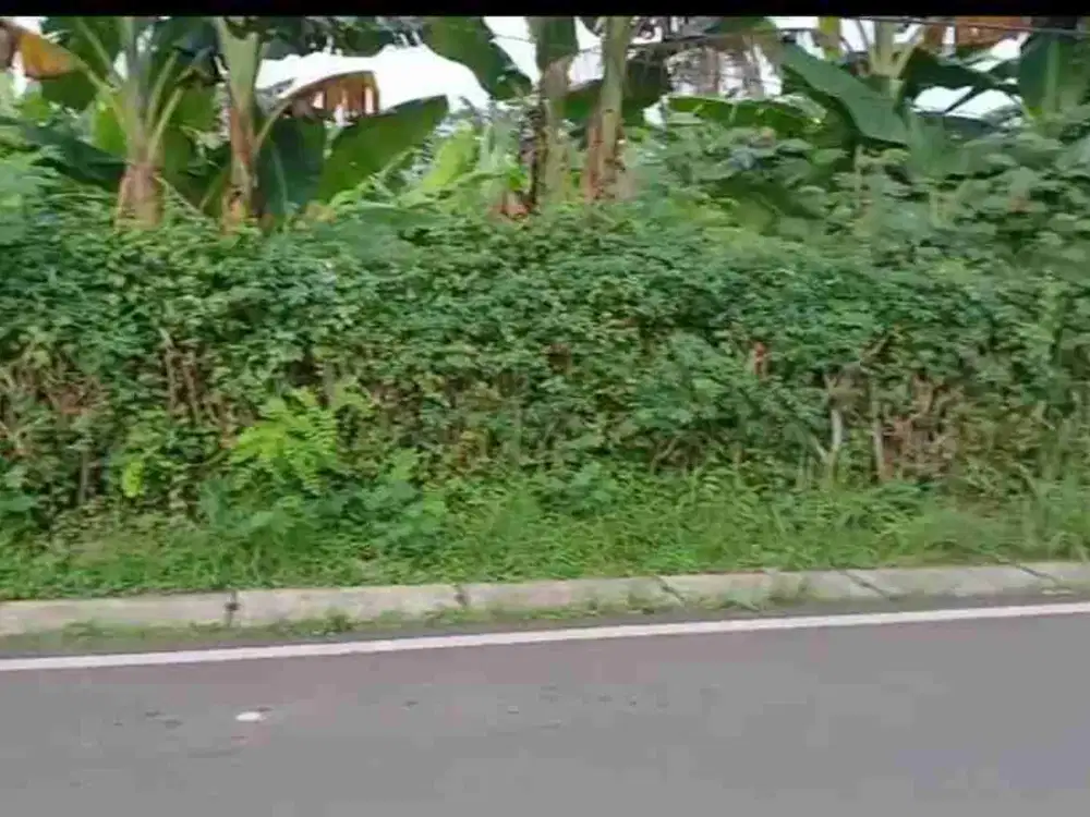tanah kosong 700 meter