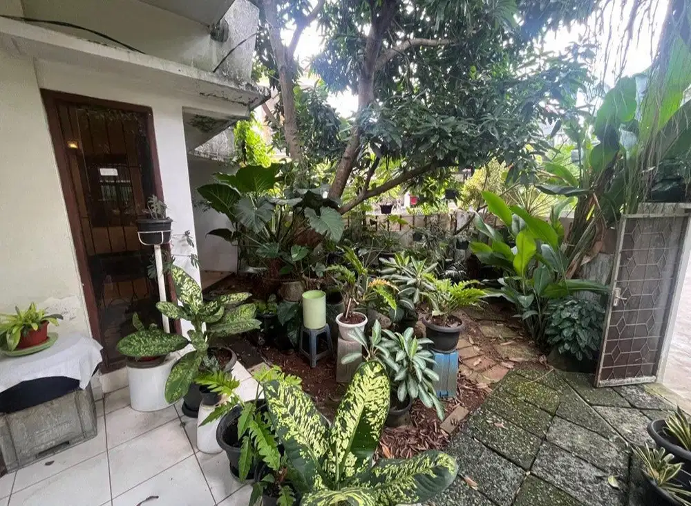 Rumah pribadi nyaman dan asri