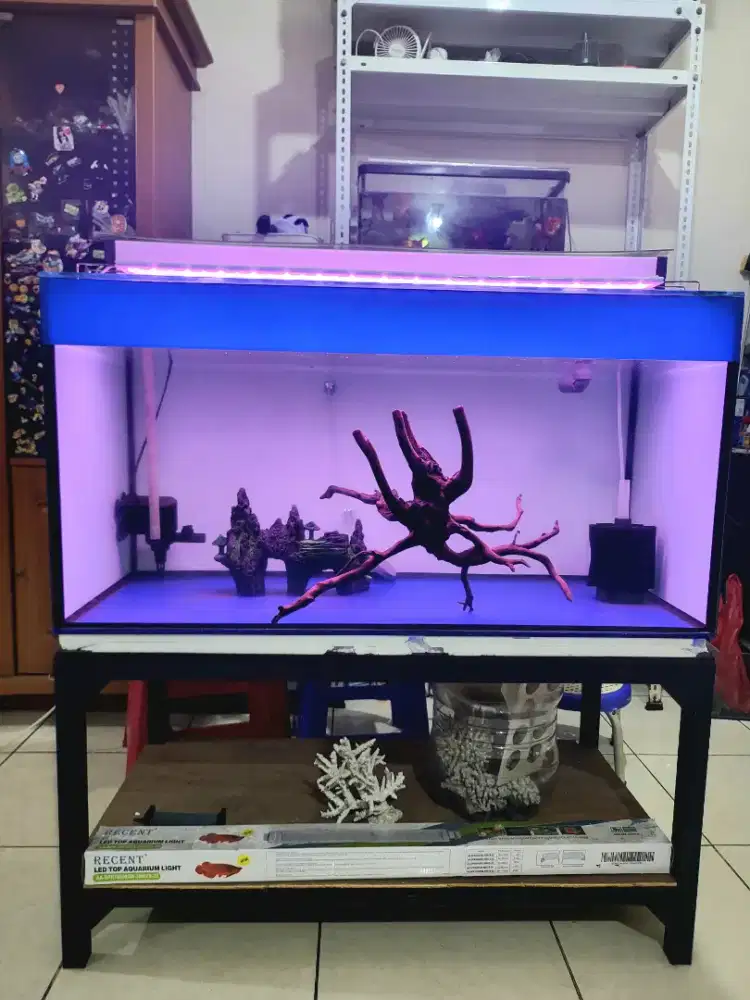 Jual murah Akuarium ikan fullset 100x50x50cm tanpa ikan