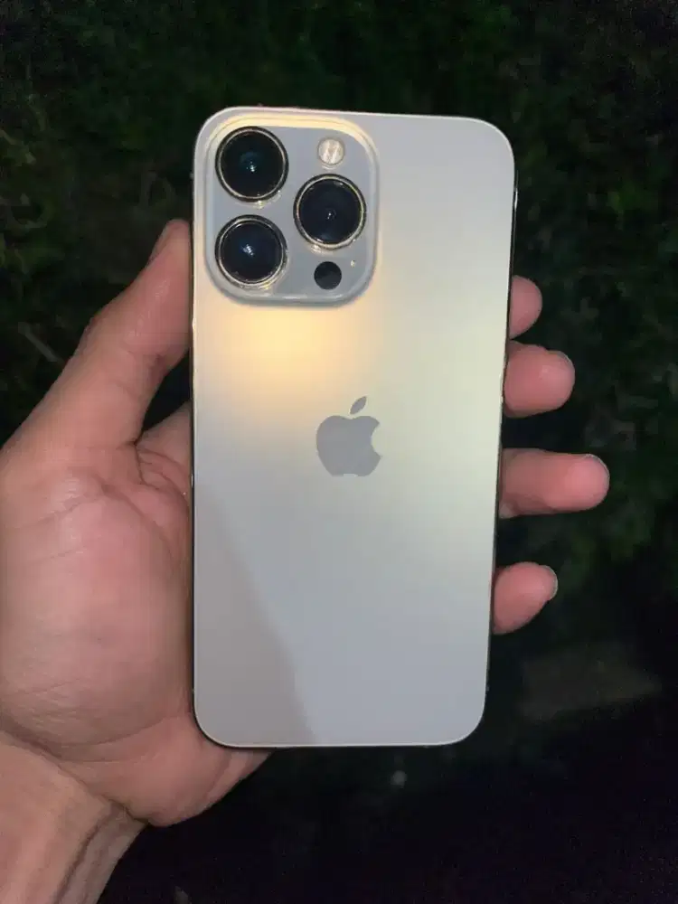 Iphone 13 pro inter
