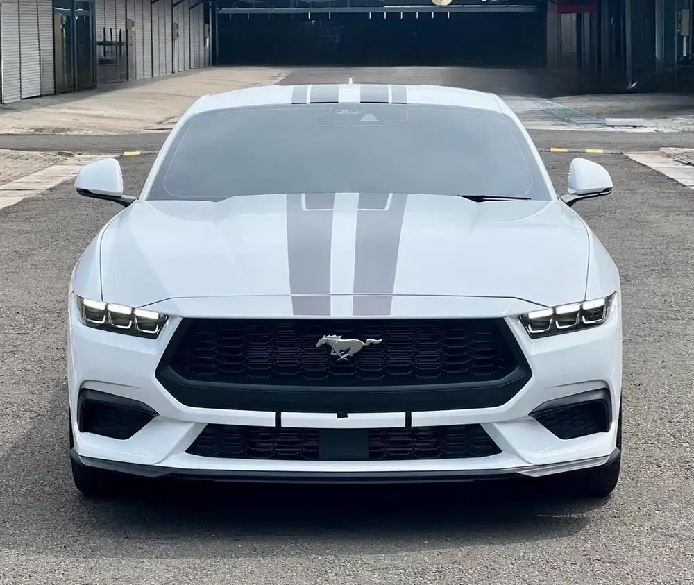 Ford Mustang Ecoboost Eco Boost FastBack Fast Back S650 S 650 2024 New